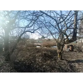 Участок в Пушкино, 4 сотки