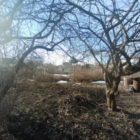 Участок в Пушкино, 4 сотки