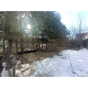 Участок в Пушкино Новая Деревня